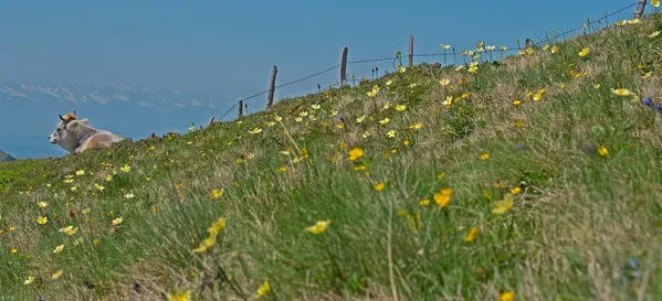 wellnesswochenende alpine