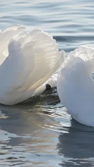 elternauszeit