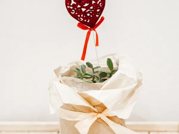 diy geschenkidee