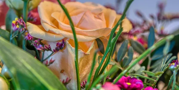 valentinstagsgeschenke